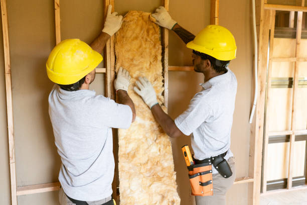 Best Soundproof Insulation Installation  in Edmonston, MD