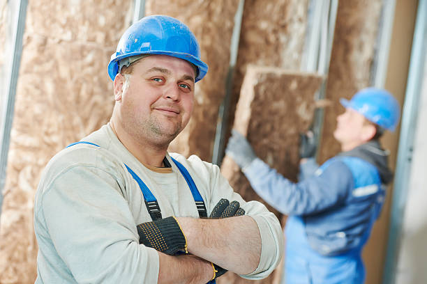 Best Insulation Inspection Services  in Edmonston, MD