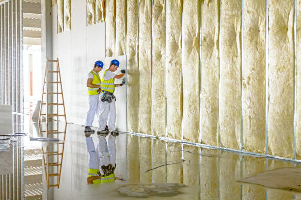 Best Garage Insulation Installation  in Edmonston, MD